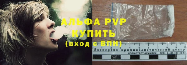 шишки Белоозёрский