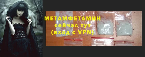 шишки Белоозёрский
