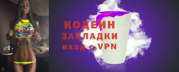 дживик Белокуриха