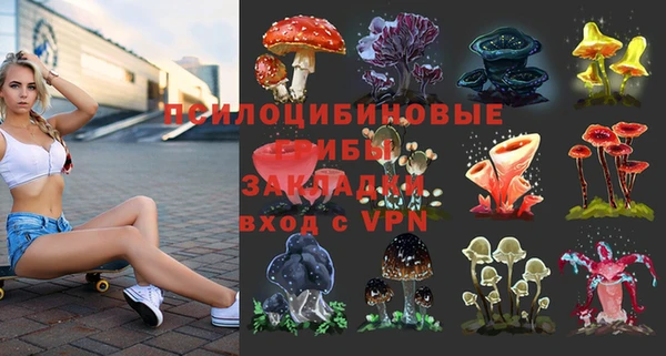дурь Беломорск