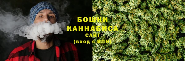 шишки Белоозёрский