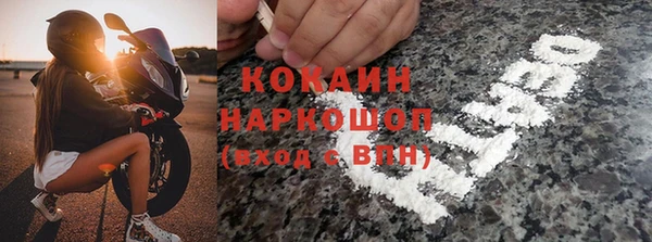 шишки Белоозёрский