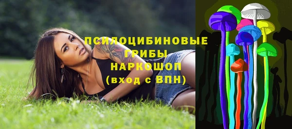 дживик Белокуриха